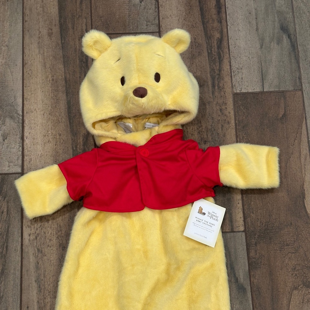 Disney Winnie the Pooh Halloween Costume - Picture 7 of 9